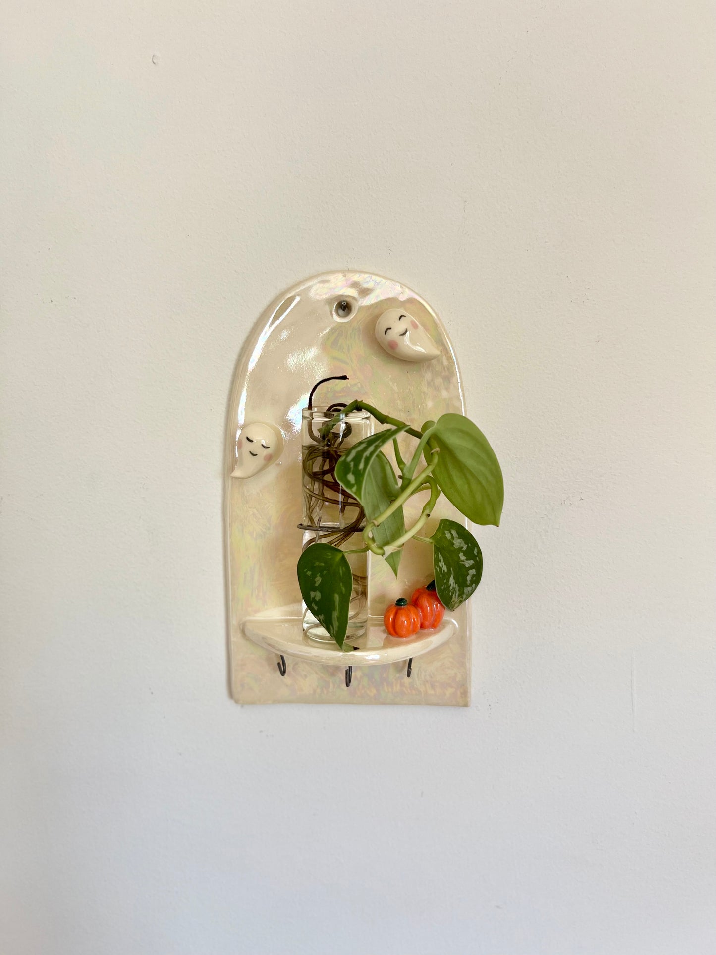 Ghostie Wall Hanging and Plant Propagation Station