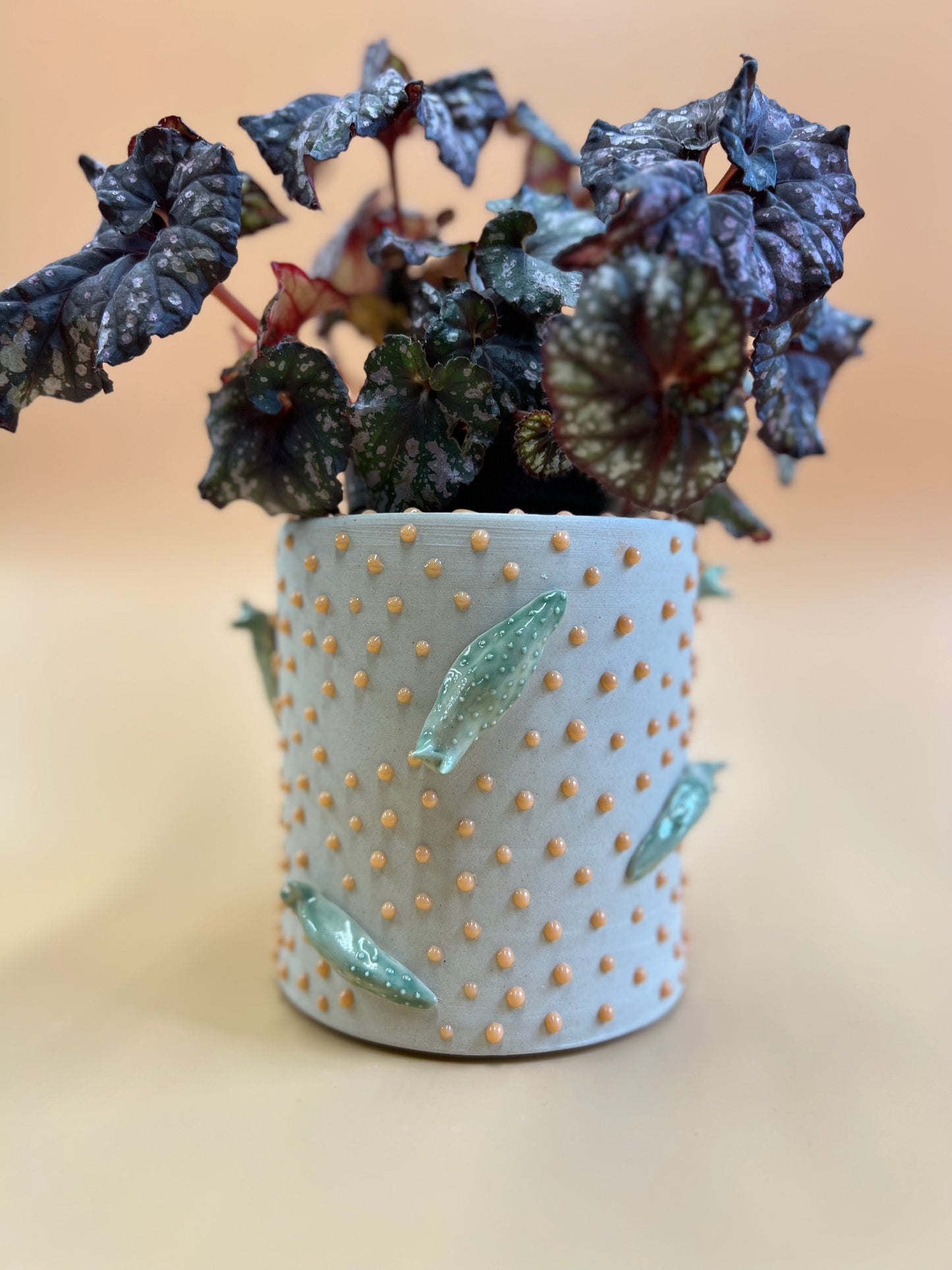 Orange Slug Planter