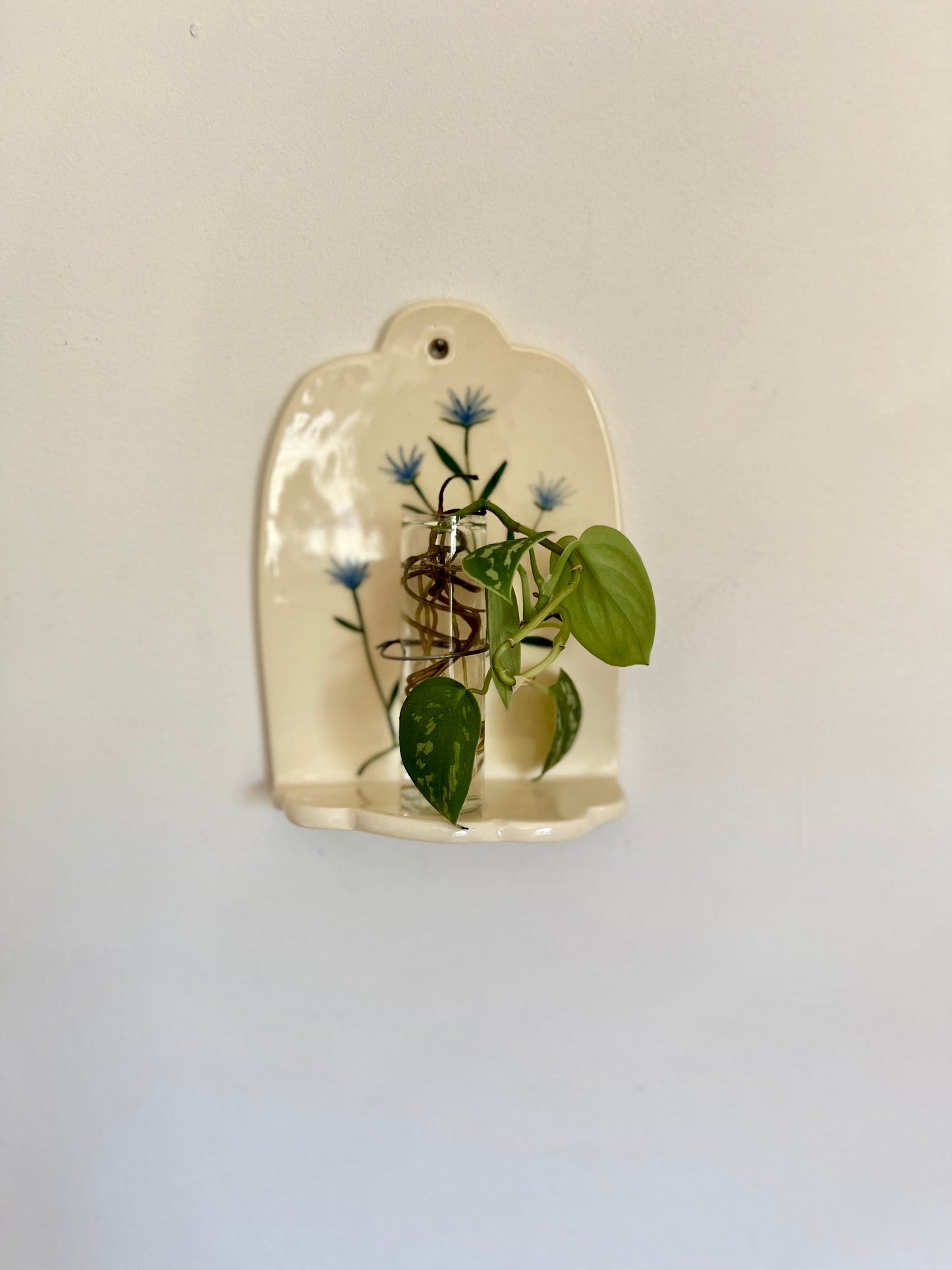 Simple Blue Flower Wall Hanging and Plant Propagation Station